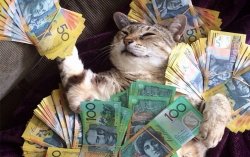 РАБОТА!!!! ДЛЯ ДЕВУШЕК